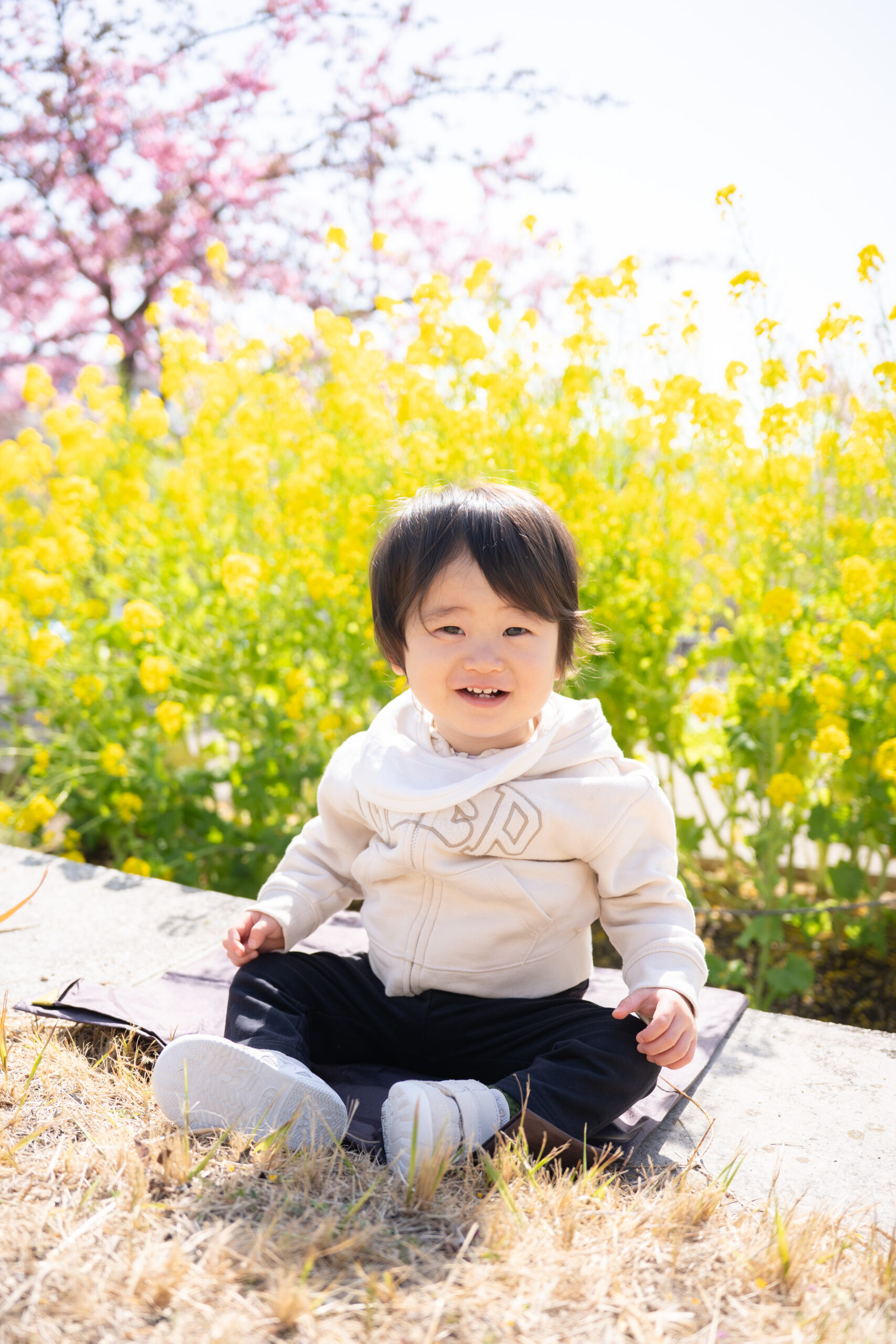 西郷川河口公園