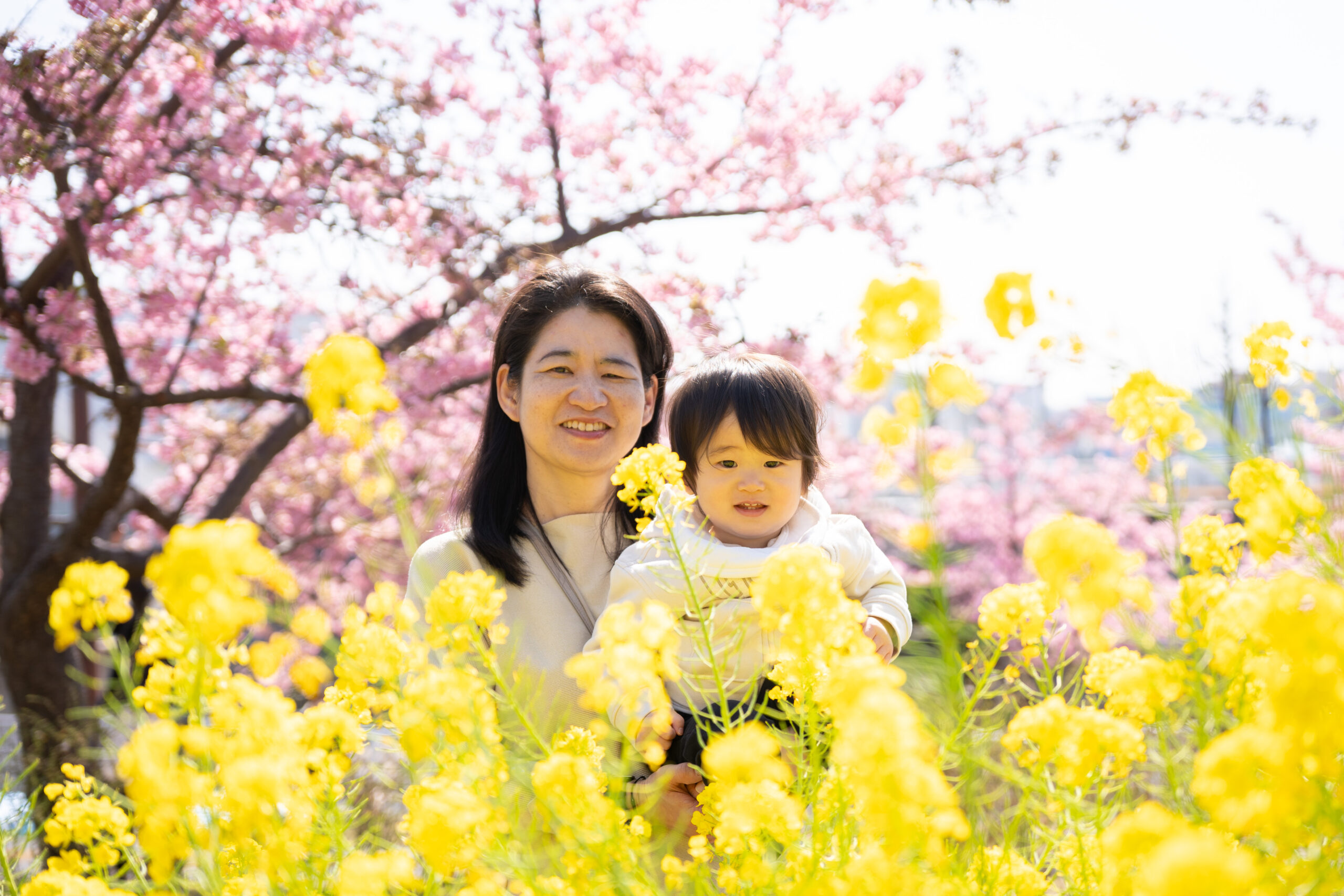 河津桜と菜の花撮影会