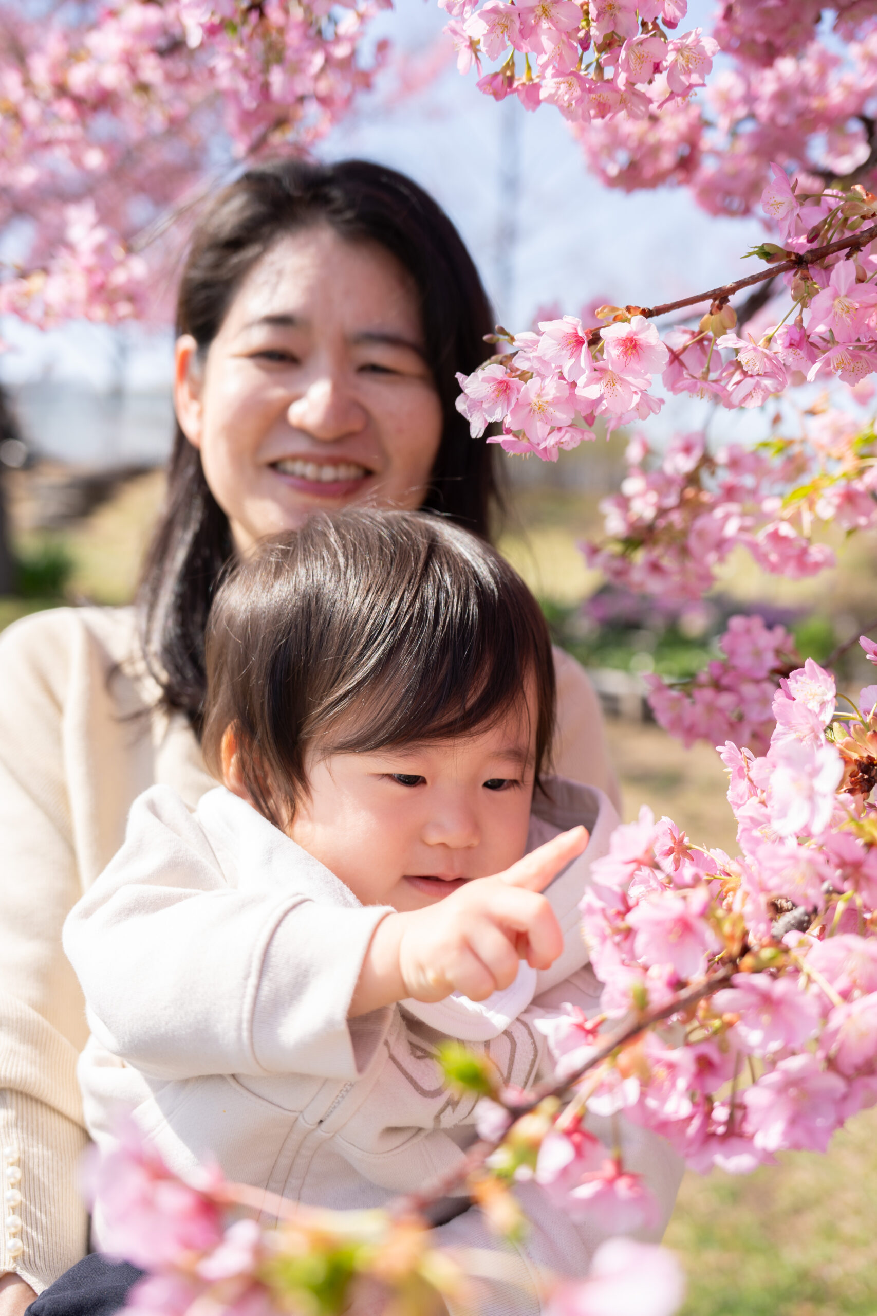 河津桜と菜の花