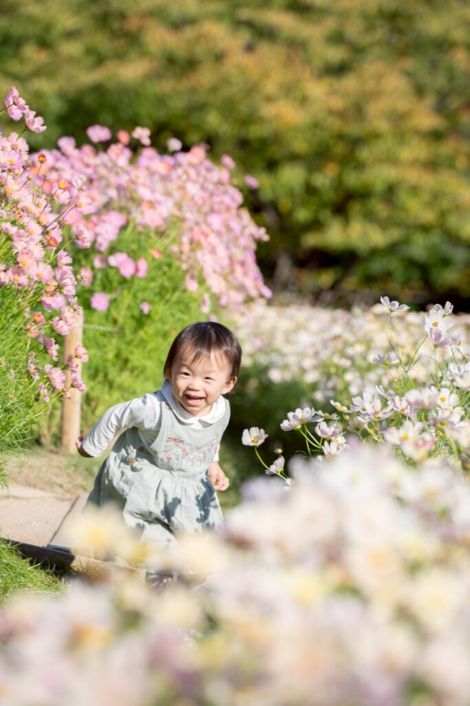 春のお花畑を歩く赤ちゃん｜季節の撮影会